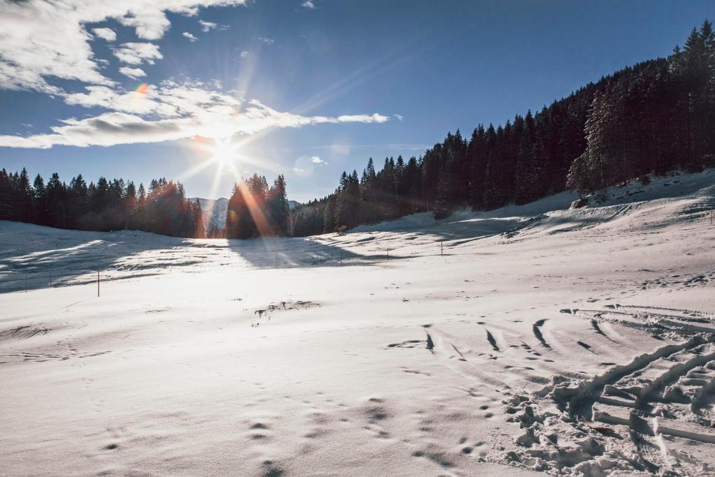 Hasenalm - 3