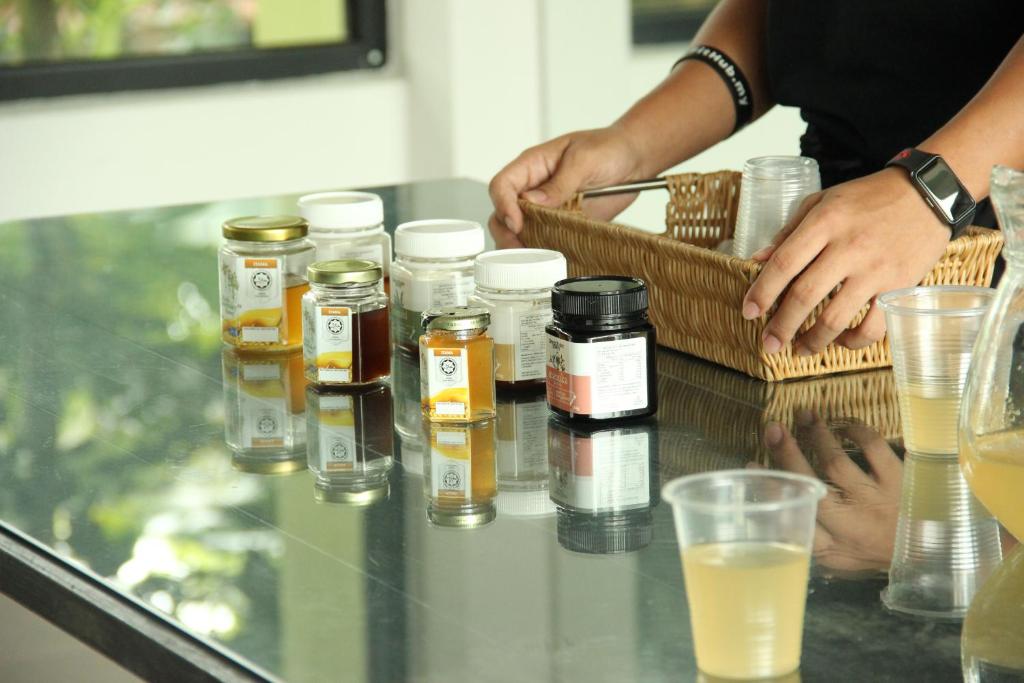 Programlehetőségek