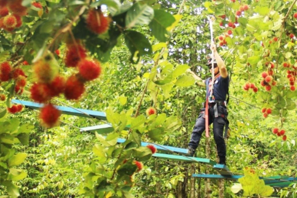 Sport és szabadidő