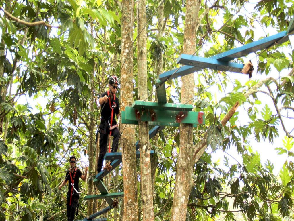 Sport és szabadidő