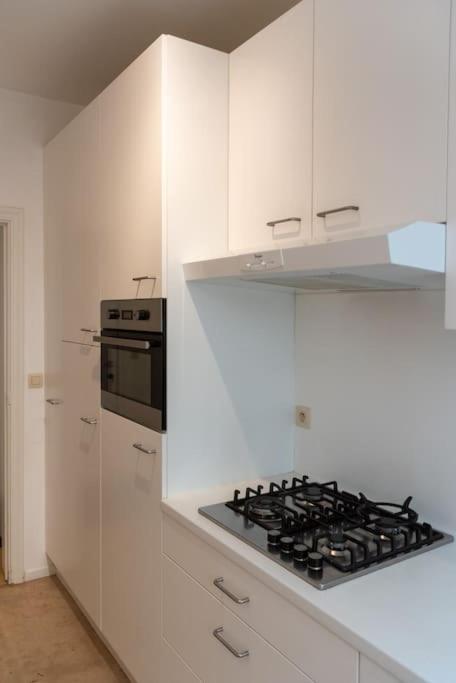 The View - spacious 2 bdr appt in with view