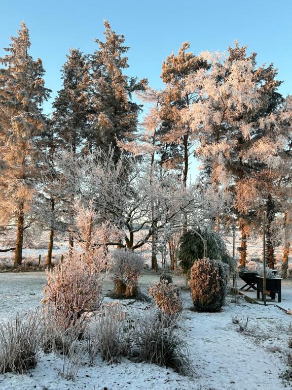 Brownrigg, Otterburn photo 8