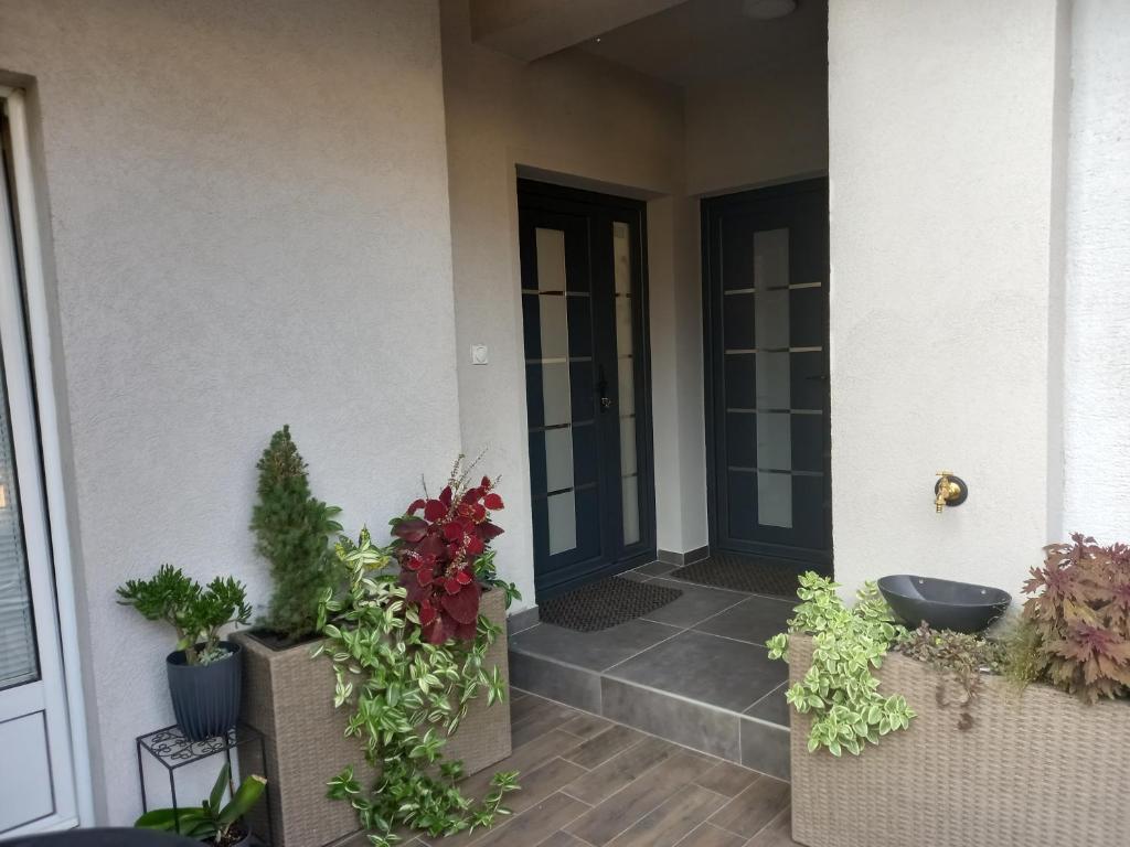 Apartman Zlata - 2