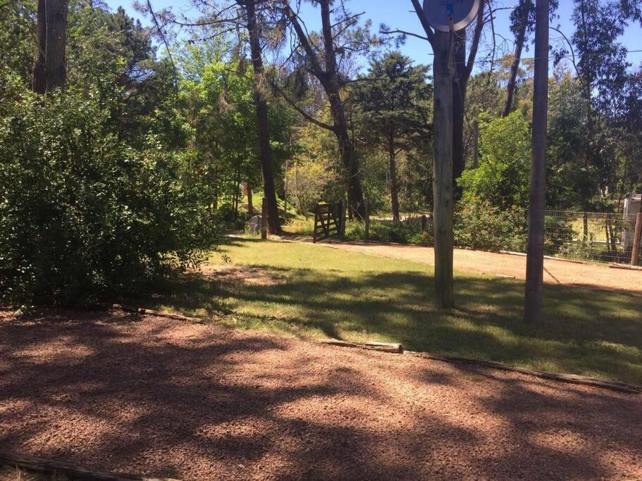 Las Tinas,Cabaña en entorno de bosque en zona Solanas - 3