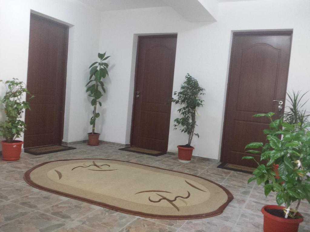 Casa Montana Busteni photo