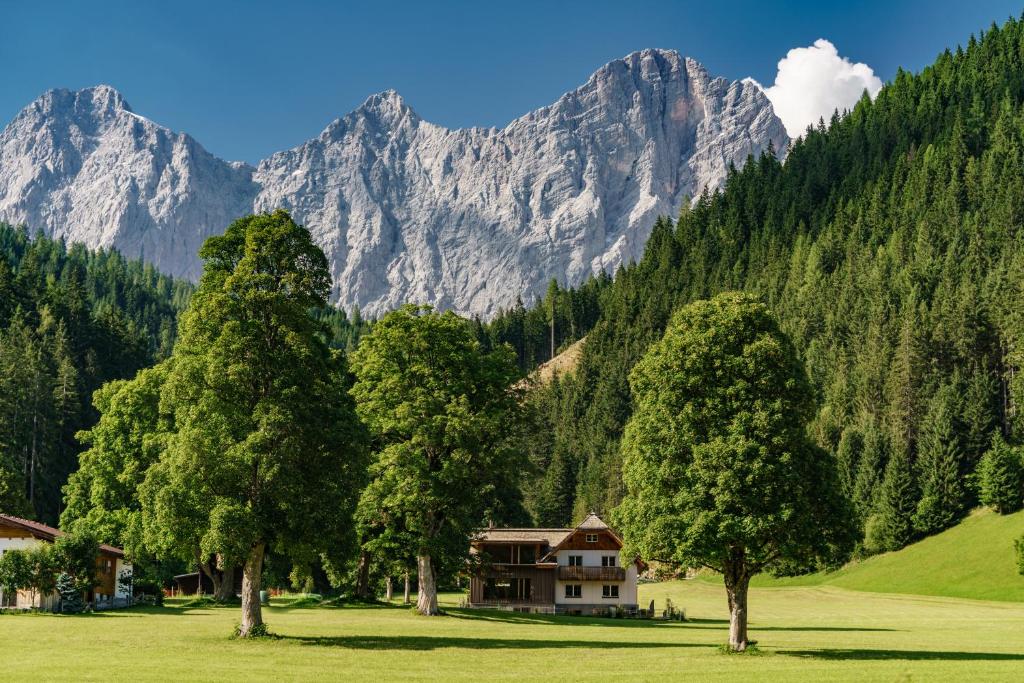 Alpenrose Boutique Chalet Gretl - 1