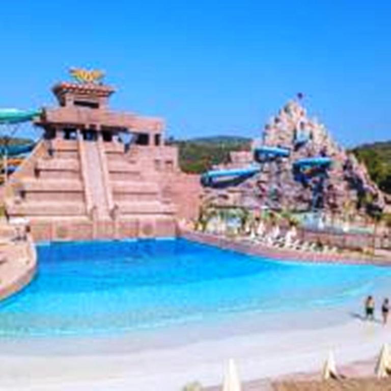 アクティビティ