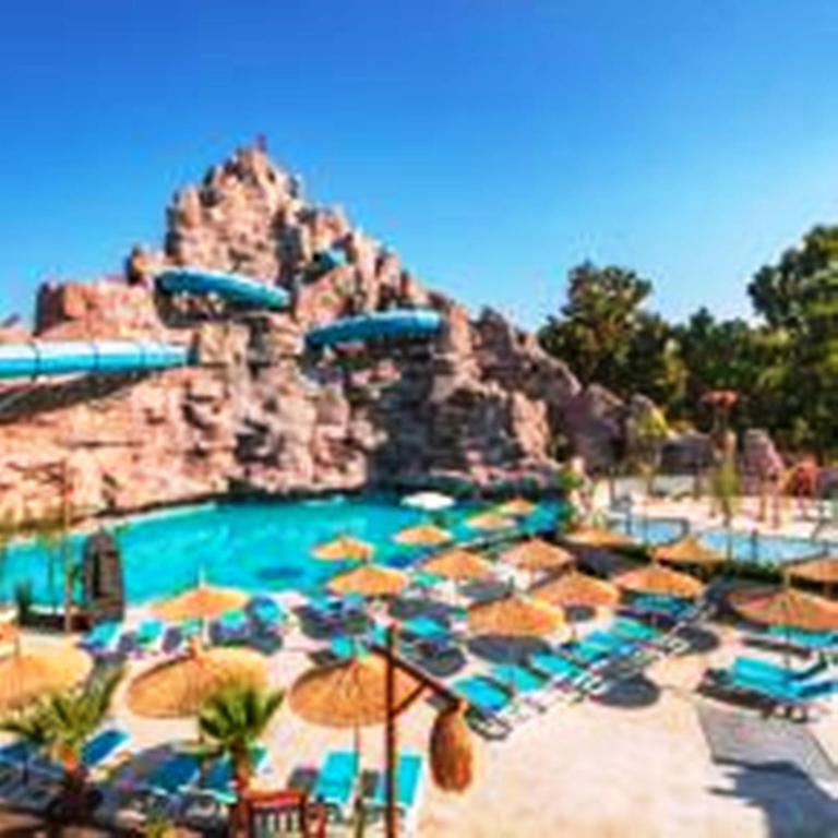 アクティビティ