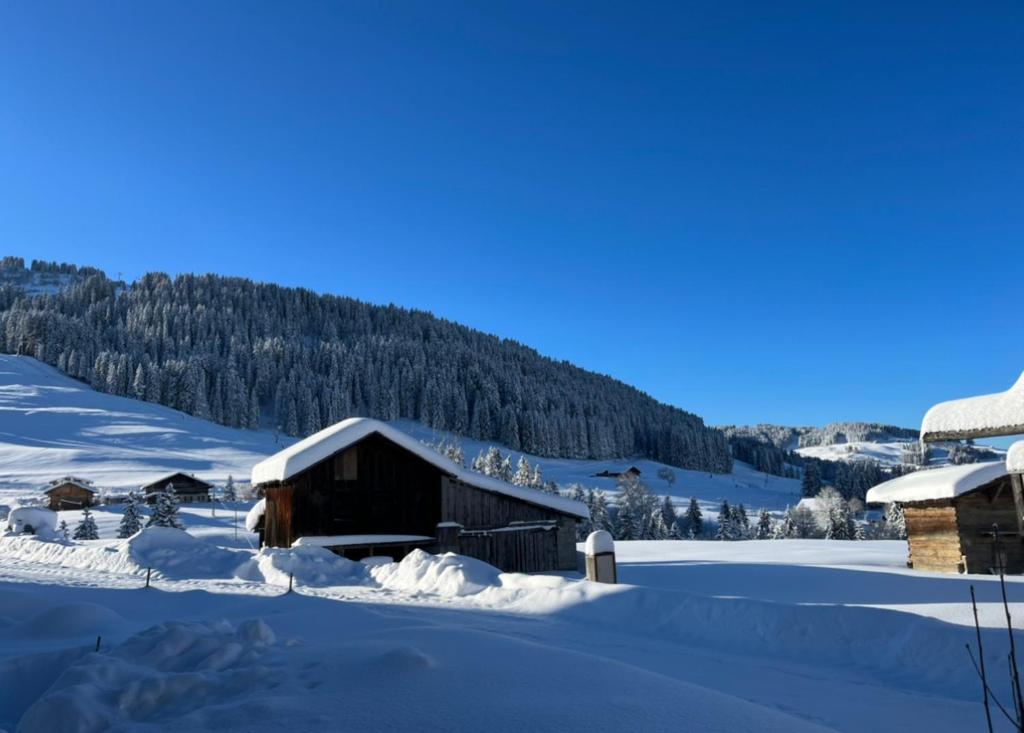 Le Chalet du Crêt - 8 pers, tout confort avec Jacuzzi - 5