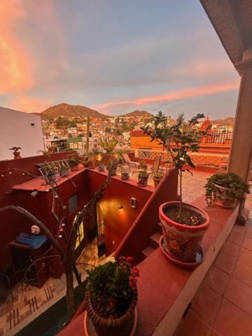 Antigua Casa del Limon - 4