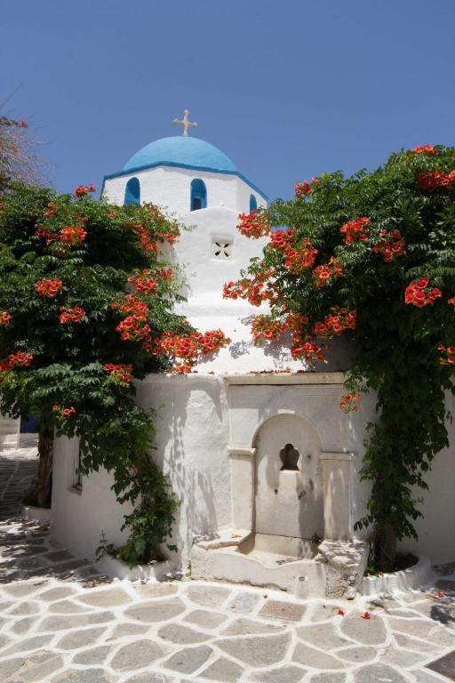 Hotel Dina — Hotel in Paros Island