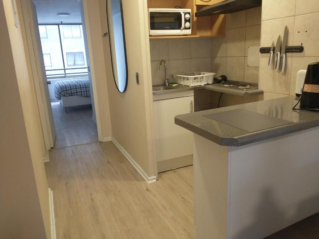 Departamento Barrio Bellas Artes - 1