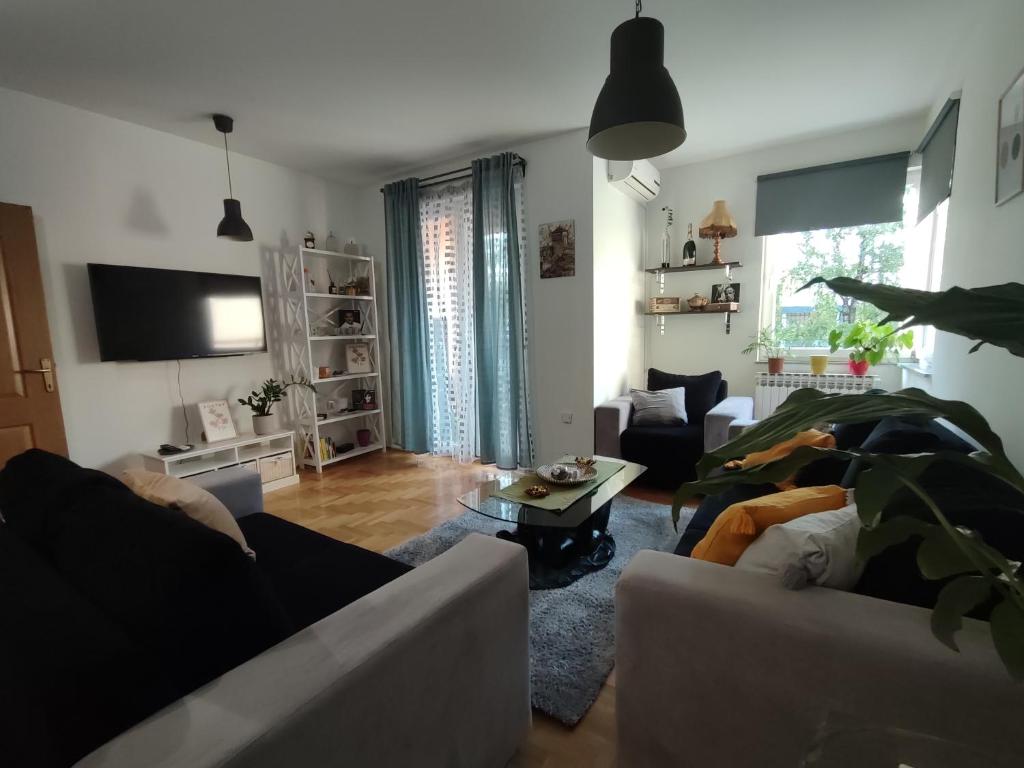 Apartman Hajduković - 3
