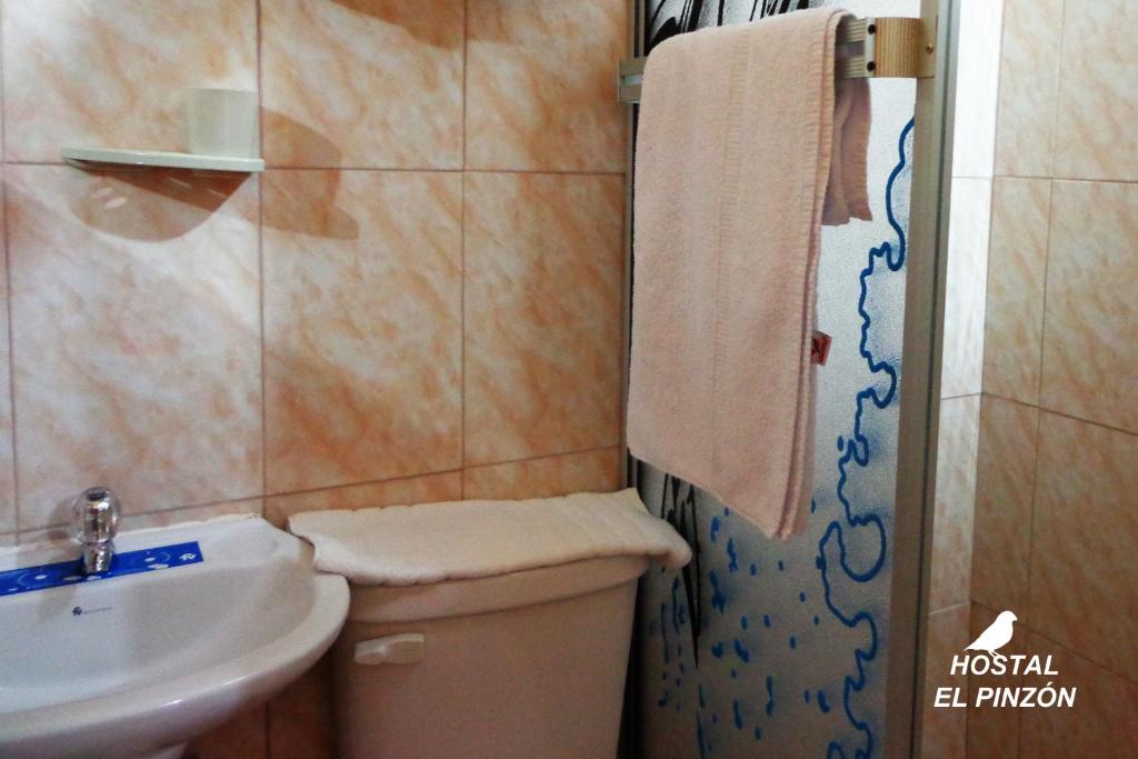 Hostal El Pinzon photo
