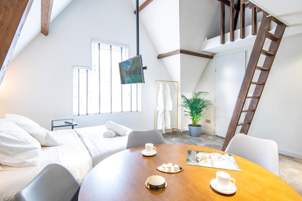New Family XL Utopia Top floor app4 Rotterdam-Schiedam City Centre Central