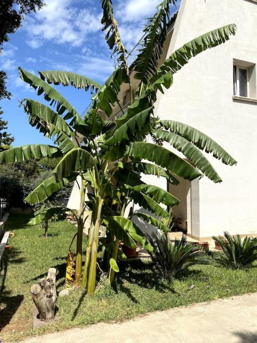Casa Woow - 2