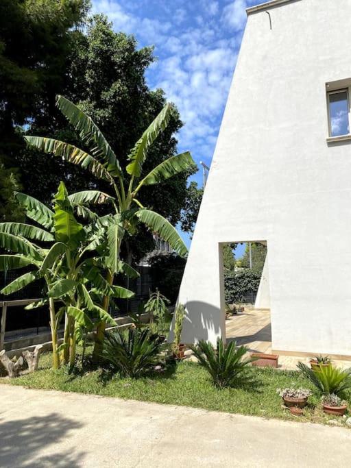 Casa Woow - 3