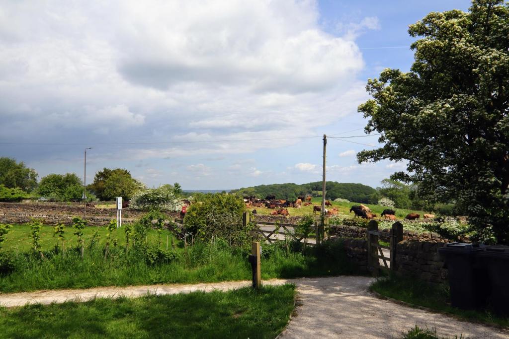 Saints' Meadow, Crich photo 5