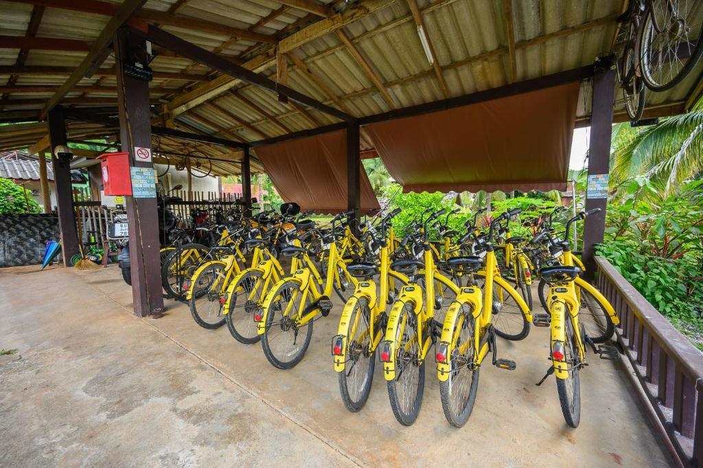 Sports and activities