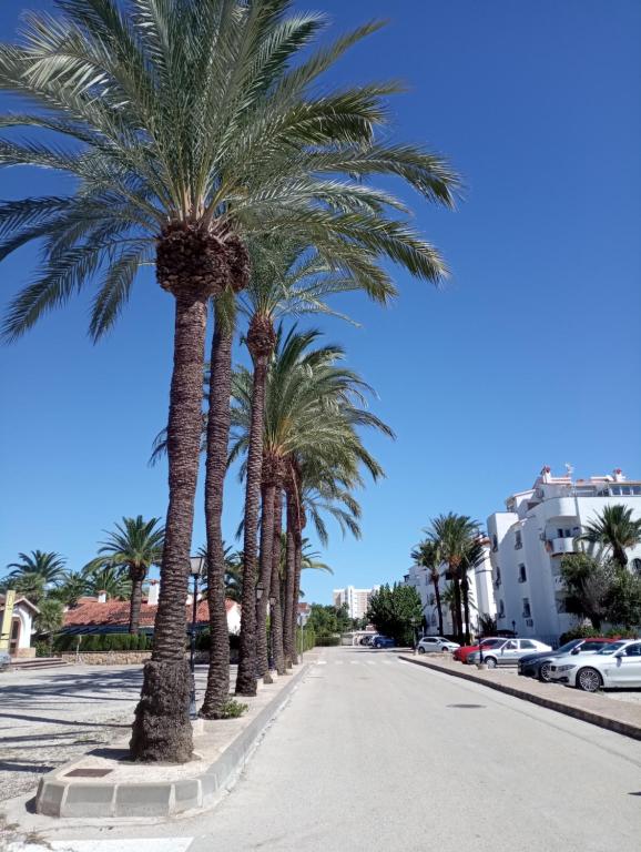Alojamiento con Piscina y chiringuito Denia - 3