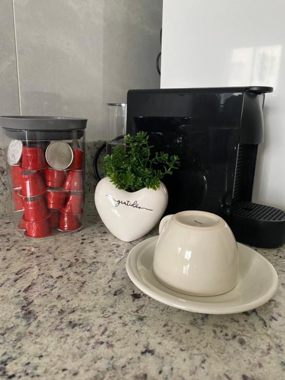 Excelente ap. 2 dorm.p/ viagens à trabalho ou lazer, Palhoça