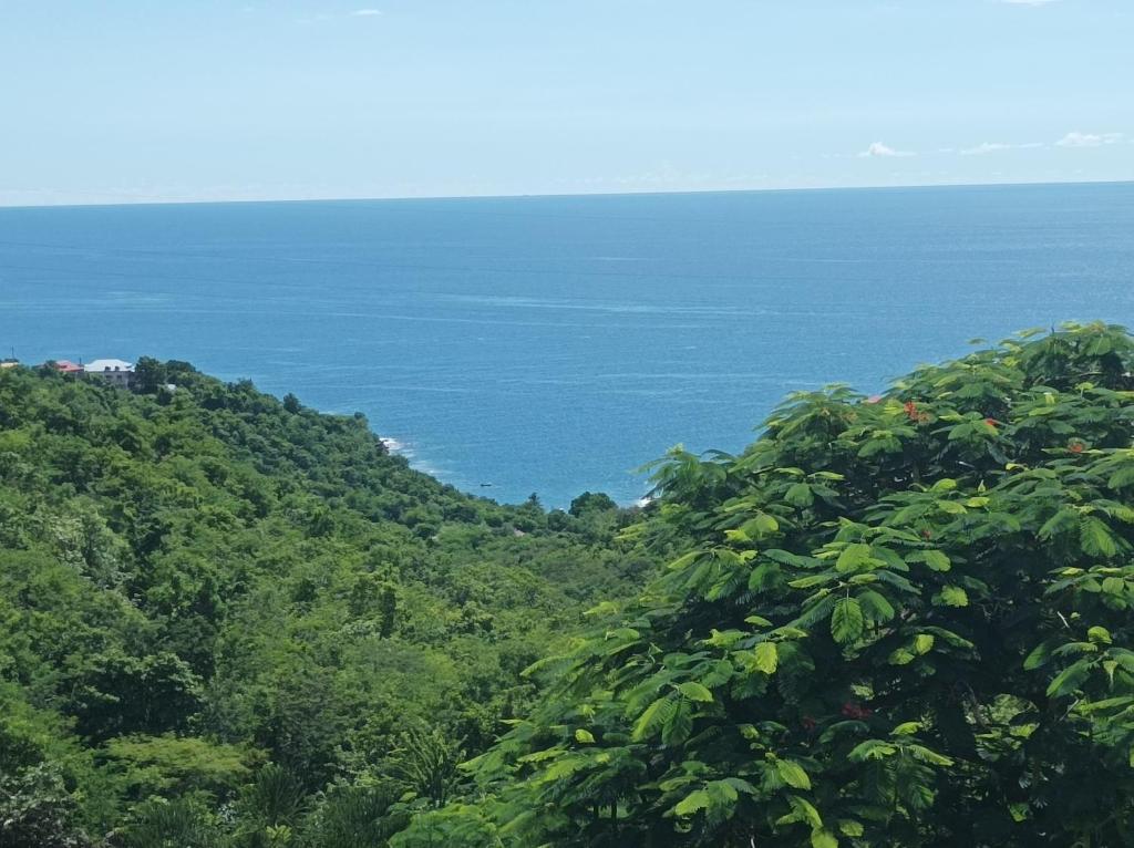 les flamboyants, Bouillante