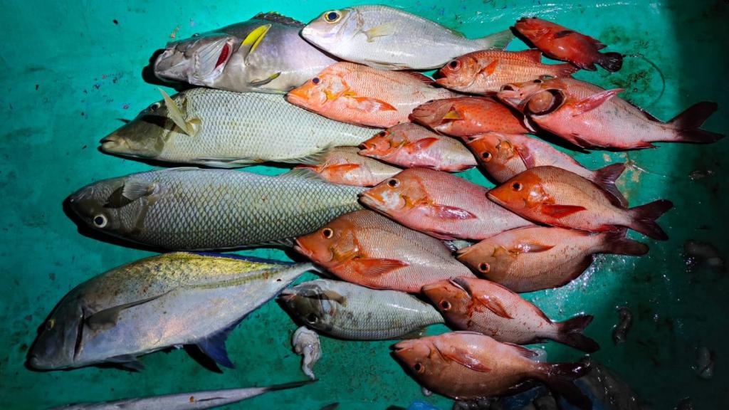 Recreational facilities