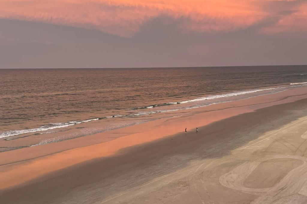 By The Sea Turtles, Ponce Inlet