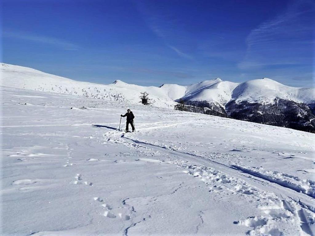 Surrounding environment