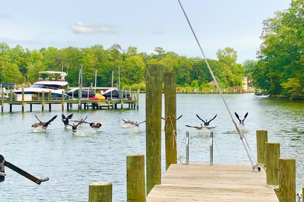 Waterfront Home With Boat Dock & Study