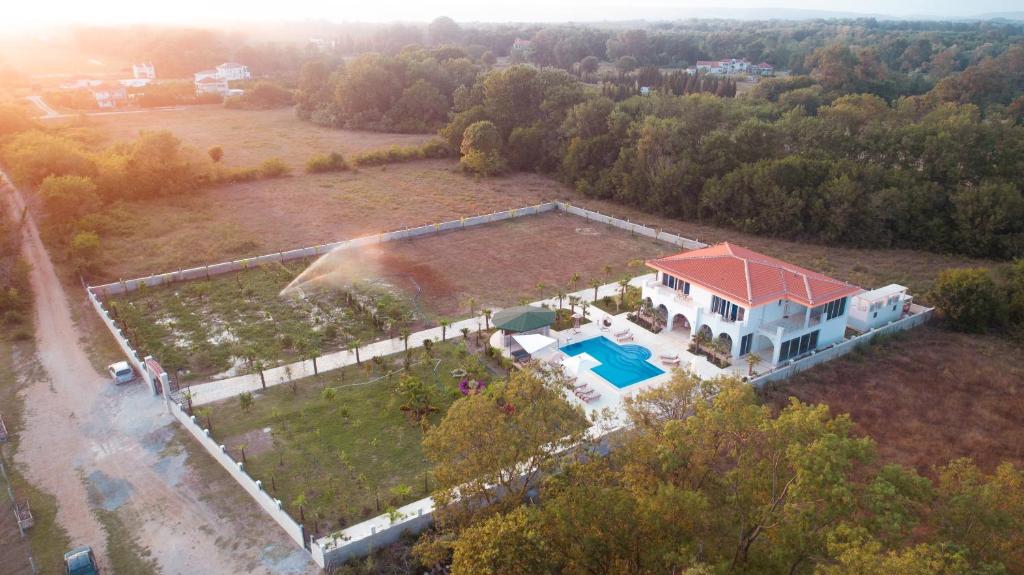 Villa 100 Palme - 5