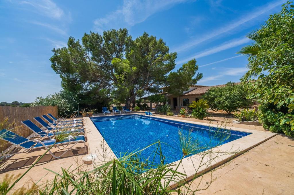 Ideal Property Mallorca - Can Ribas - 3