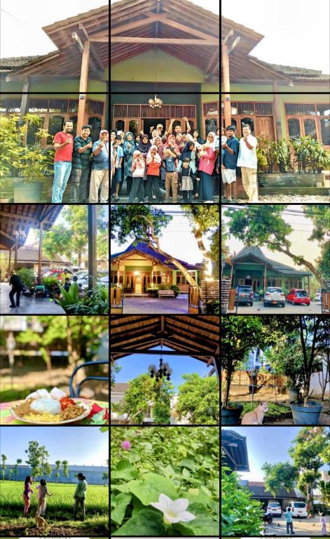 Sleepy Raccoon Hostel (Mangga Besar, Jakarta Barat) Sleepy Raccoon Hostel (Mangga Besar, Jakarta Barat) - Backpacker style dekat Kota Tua, seru abis!