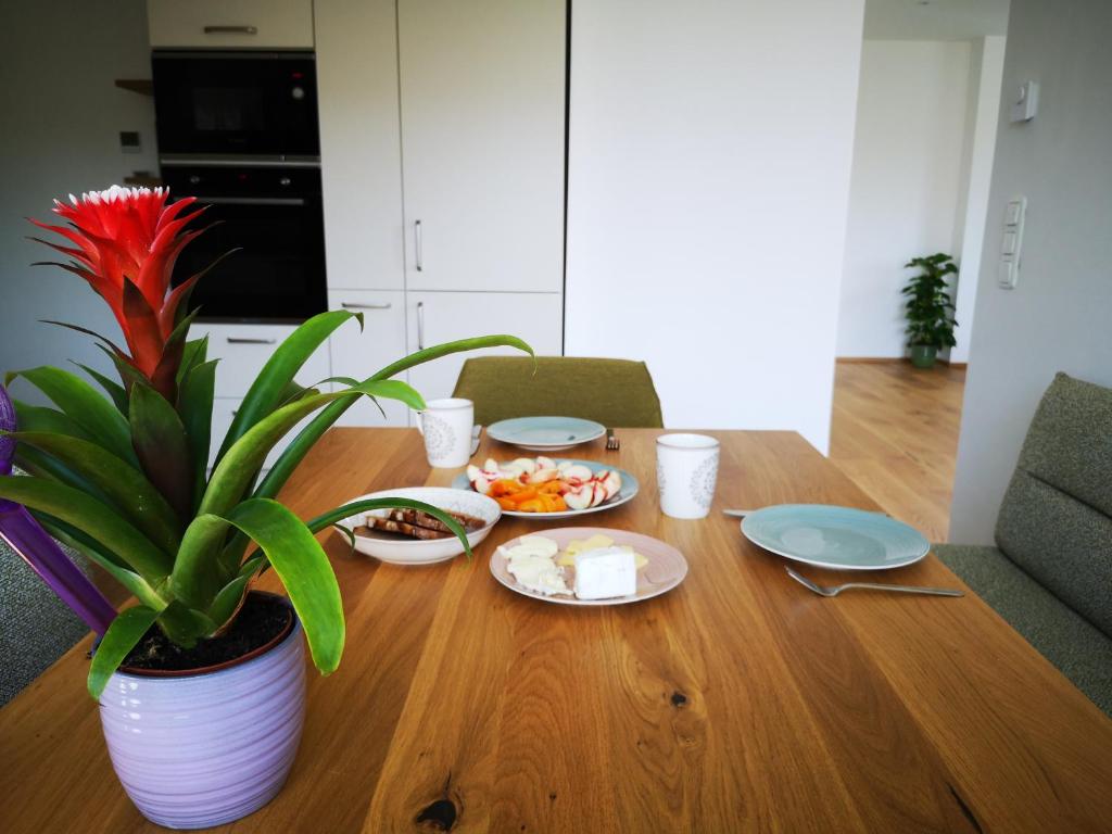 Spacy Apartment next to the center of Graz with terrasse - 5