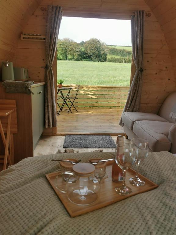 Y Nyth - The nest, Bridgend