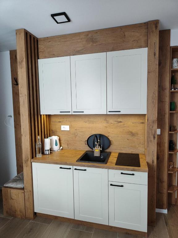 Apartman Bella Vista Jahorina - pogled na stazu - 4