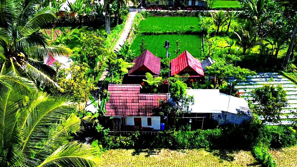 Ariel Bungalow Tetebatu