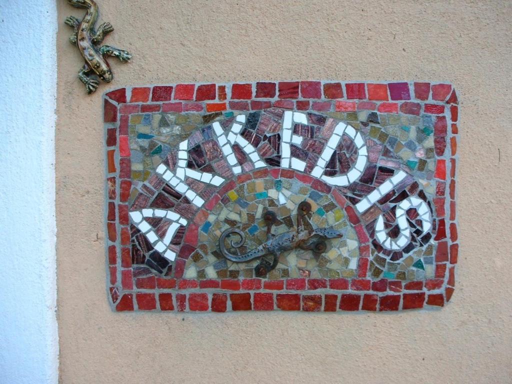 Akkedis at Artemis, Franschhoek