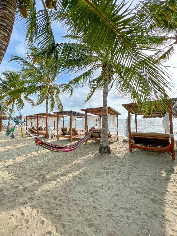 Surrounding environment