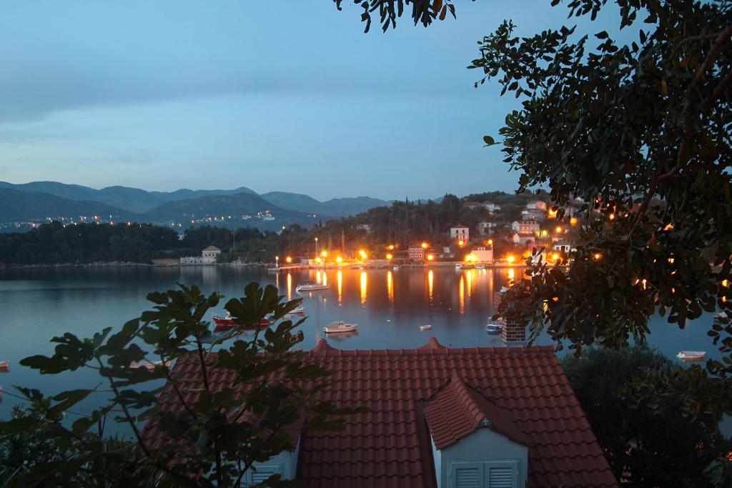 Apartments Tereza — Hotel in Kolocep