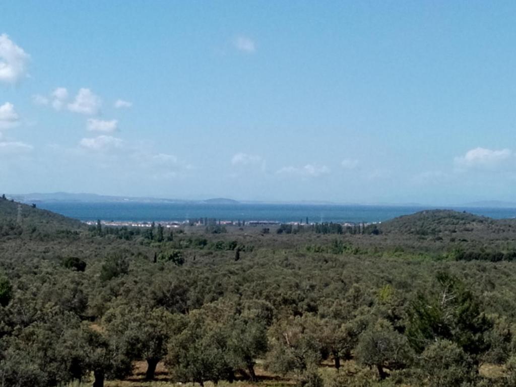 Surrounding environment