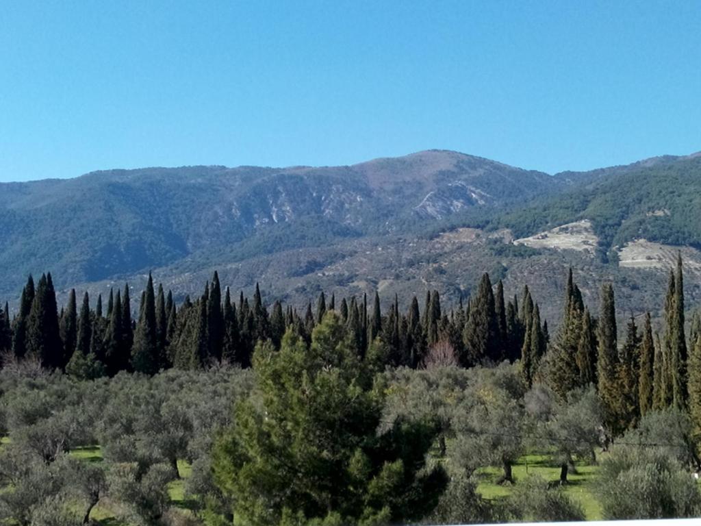 Surrounding environment