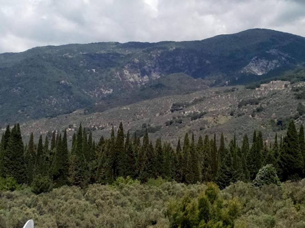 Surrounding environment