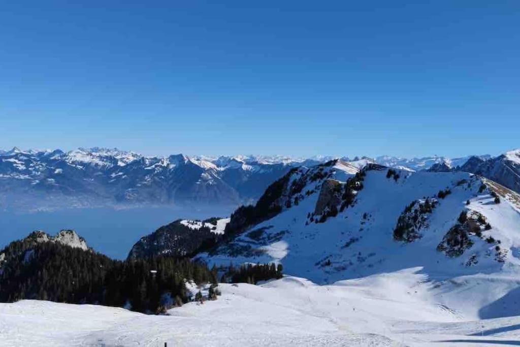 Studio Myrtilles du Léman vue sur lac et montagne - 4
