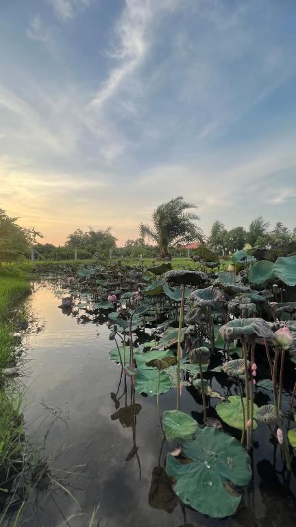 Surrounding environment