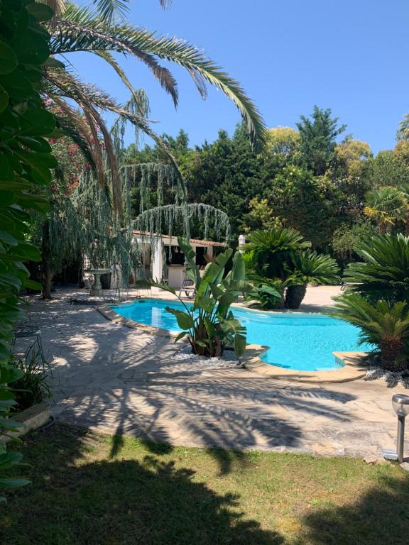 Cannes Villa piscine proche centre ville - 1