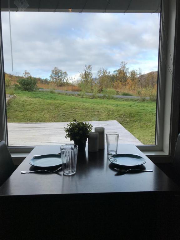 Aurora Borealis, Tromsø