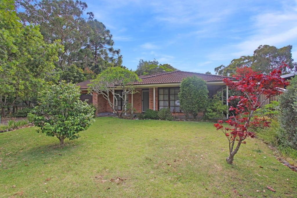 All Decked Out, Hawks Nest