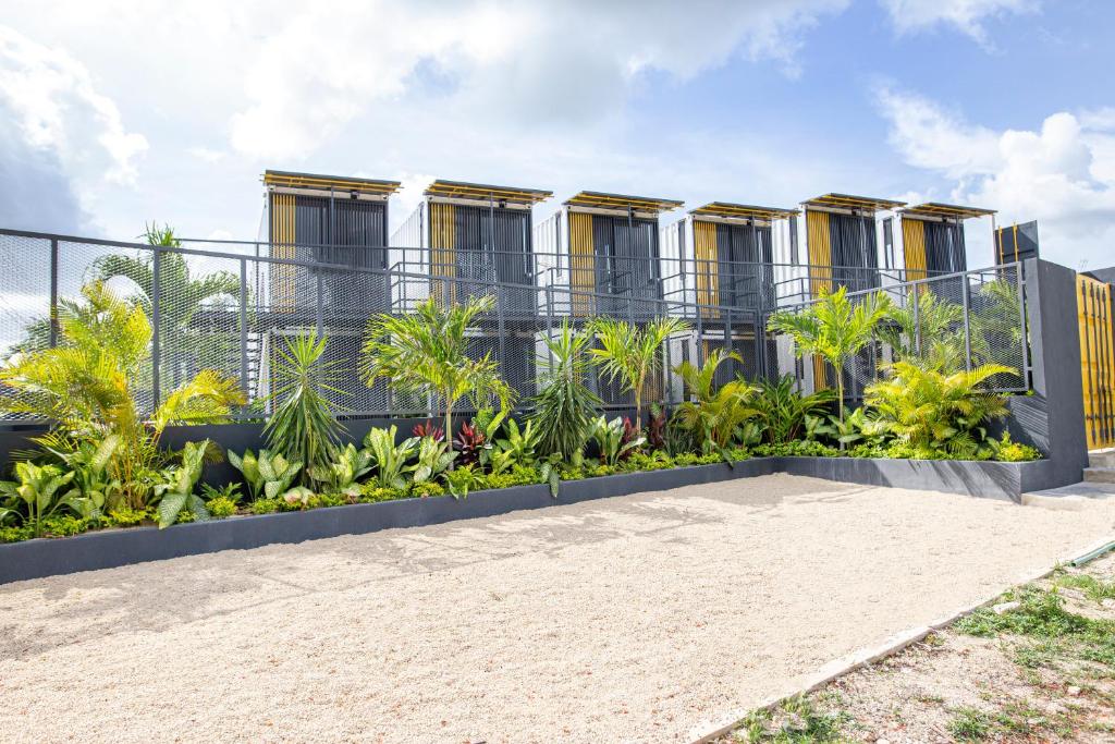 Containers Bacalar - 3