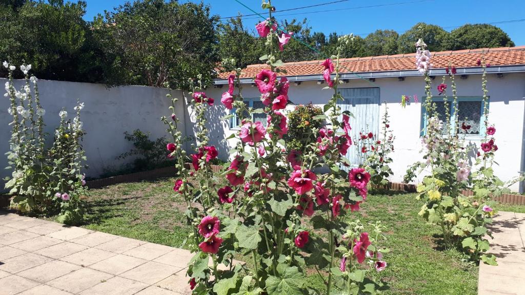 Maison de vacances familiale - 3